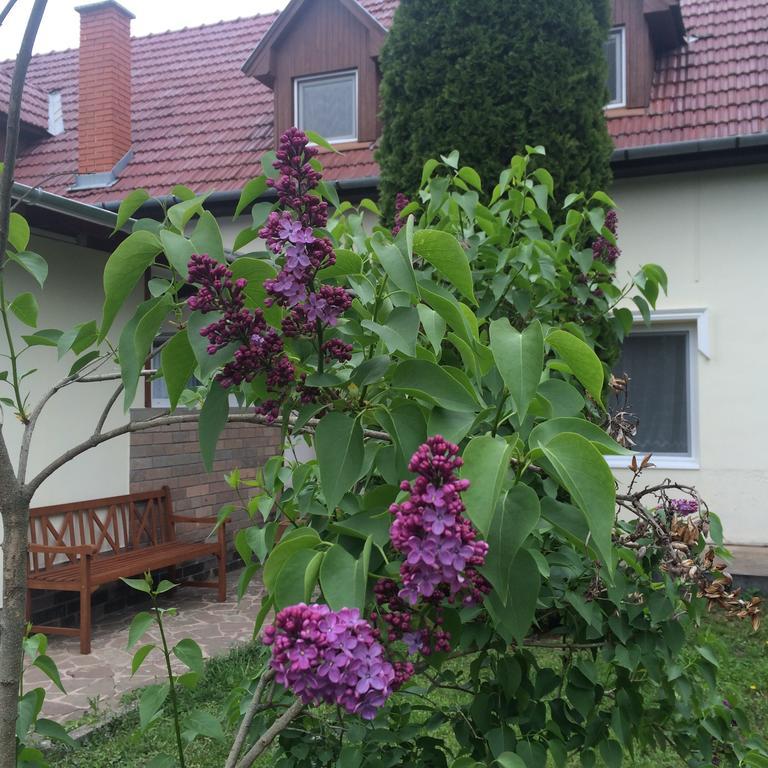 Harmonia Panzio Apartment Bogacs Exterior photo